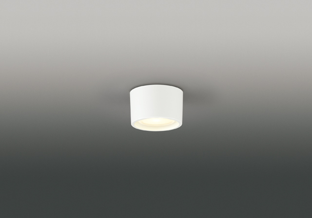 LEDG85004