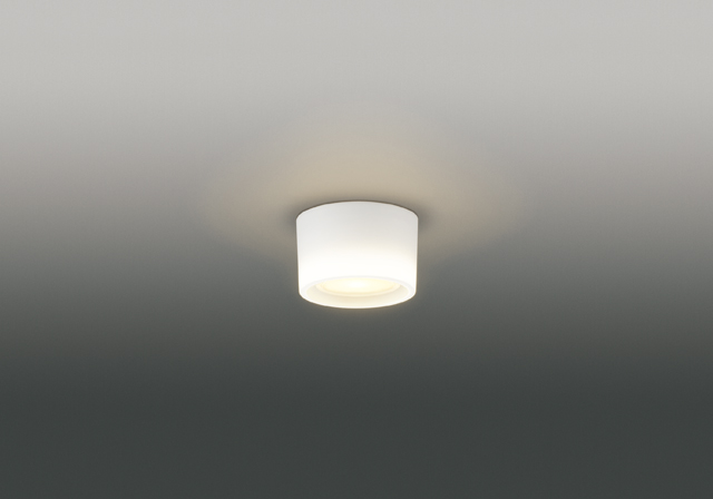 LEDG85005
