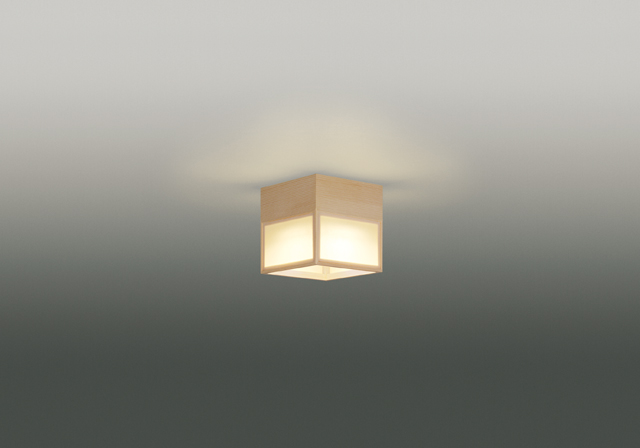 LEDG85007