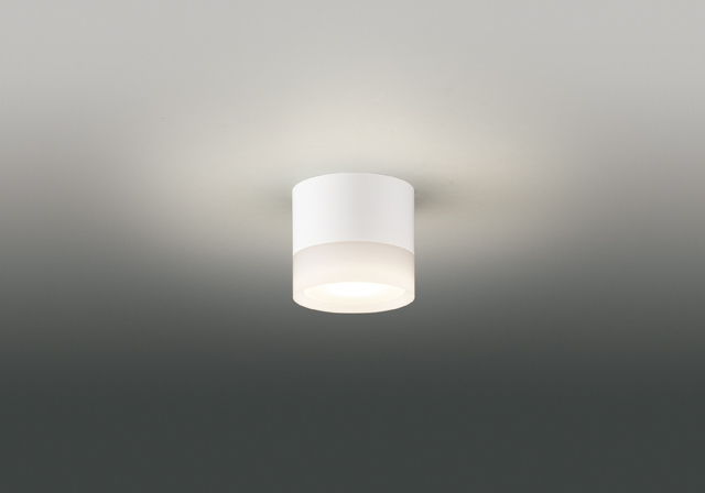 LEDG85019