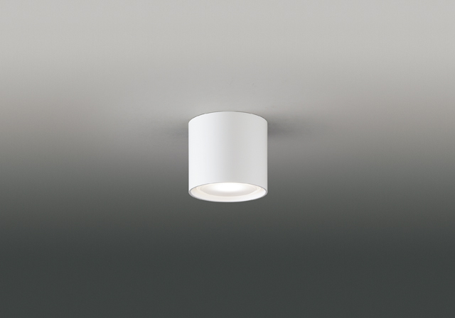 LEDG85025
