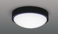 LEDG85918K